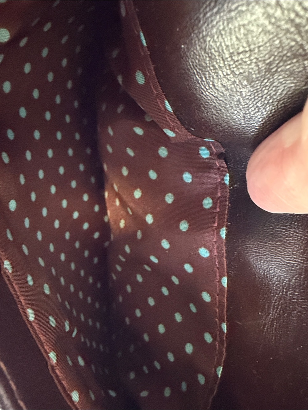 Chala Owl Crossbody Bag - Picture 6 of 9